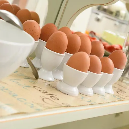 Timoleon 3* Liménasz